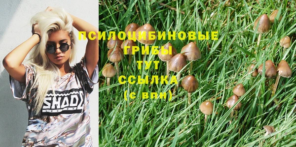 гидропоника Беломорск