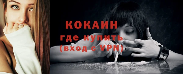 индика Белокуриха