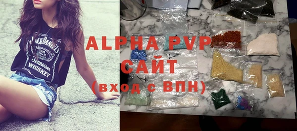 индика Белокуриха