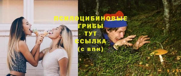 индика Белокуриха