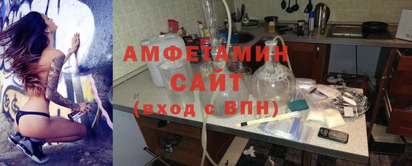 индика Белокуриха