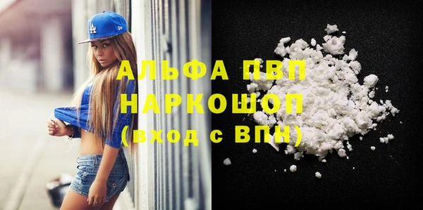 индика Белокуриха