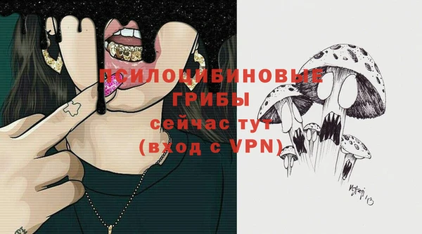 индика Белокуриха