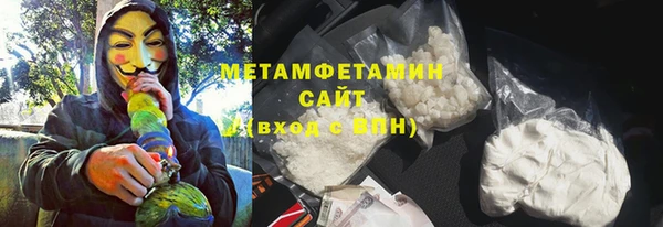 индика Белокуриха