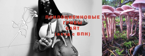 индика Белокуриха
