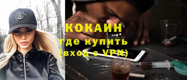 индика Белокуриха